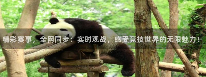 乐球直播app手机版：精彩赛事，全网同步：实时观战，感受竞技世界的无限魅力！