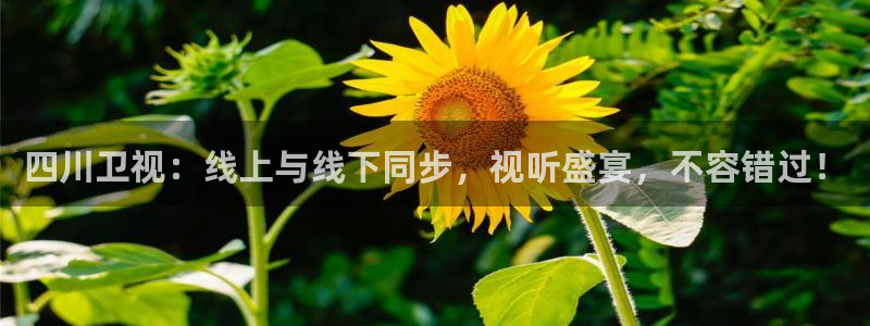 乐球在线观看高清直播视频：四川卫视：线上与线下同步，视听盛宴，不容错过！