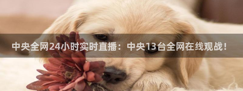 360乐球体育直播在线观看：中央全网24小时实时直播：中央13台全网在线观战！