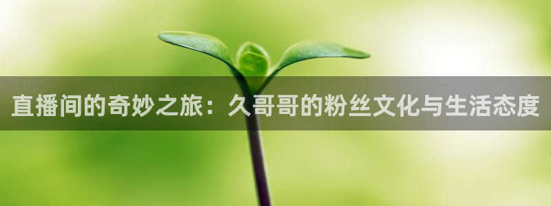 nba直播吧乐球直播：直播间的奇妙之旅：久哥哥的粉丝文化与生活态度