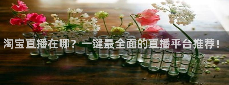88直播乐球直播：淘宝直播在哪？一键最全面的直播平台推荐！